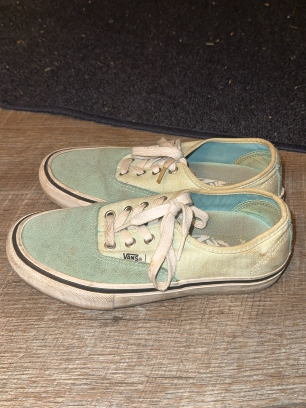 Vans Low Top Canvas Sneakers in Mint and Teal